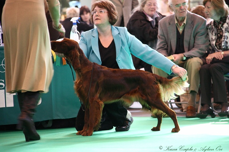 Crufts2011 105.jpg